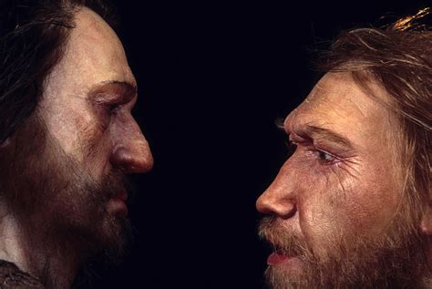 Science Seeks Clues To Human Health In Neanderthal DNA | NPR & Houston ...