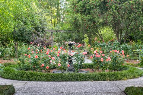 Georgia Botanical Gardens to Visit This Spring | Explore Georgia ...