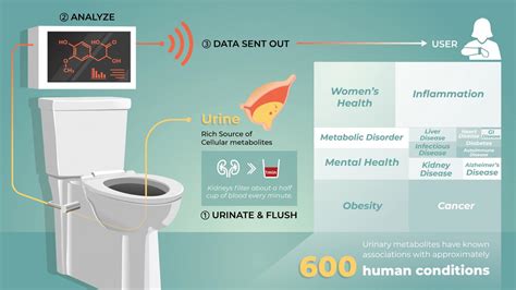 Smart Toilet Graphic [IMAGE] | EurekAlert! Science News Releases