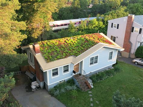 Recover Green Roofs Will Turn Your Regular Old Roof into a Lush Garden