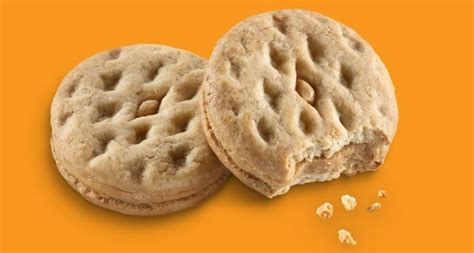 Peanut Butter Sandwich - Girl Scout Cookies