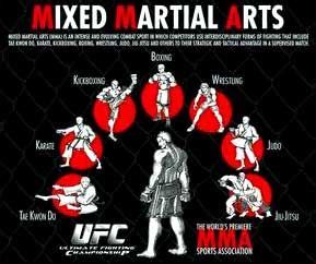 Mixed Martial Arts #MMA techniques. "Fastest growing sport in world" # ...