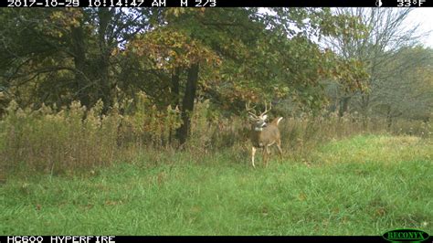 Mid July food plotting – Bartylla's Whitetail Habitat Plans