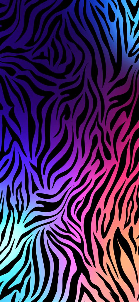 Colorful Zebra - Wallpapers Central