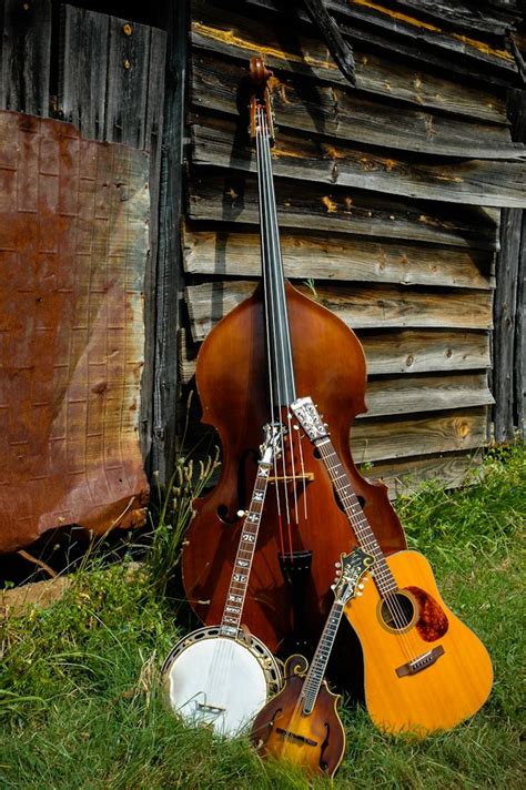 The Bluegrass family of instruments include: fiddle, banjo, guitar ...