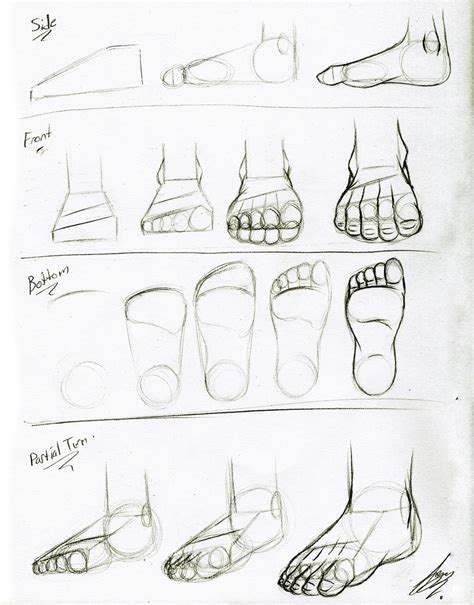 Foot Tutorial by Juacamo on DeviantArt