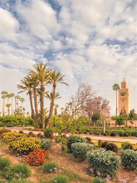 Visit Marrakesh's gardens | Evaneos