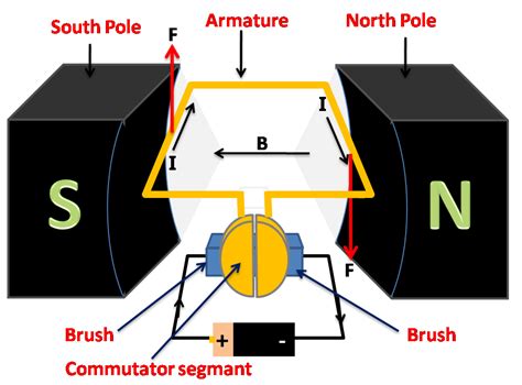 Draw a labelled diagram of an electric motor. Explain its principle and ...