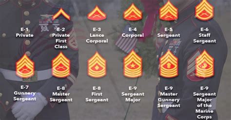 US Marine Corps Ranks & Insignia, Check Complete List In Order