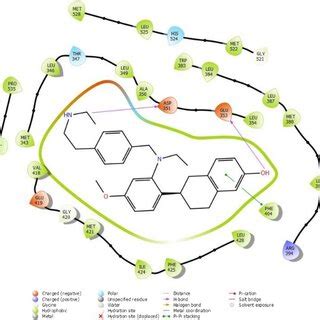 Synthetic scheme for elacestrant | Download Scientific Diagram