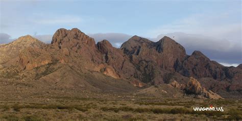 The Organ Mountains at Sunset | Viva NM