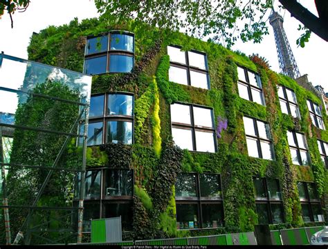 Le Mur Vegetal at the Musée du quai Branly | Vertical garden, Urban ...