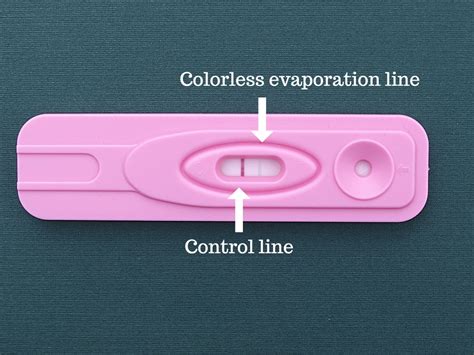 How to Interpret the Results of an Evap Line on a Pregnancy Test ...