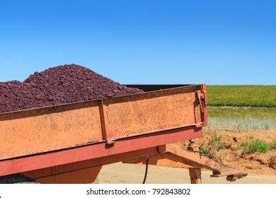 2,880 Pomace Stock Photos, Images & Photography | Shutterstock