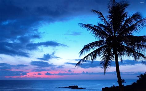 Blue Sunset Wallpapers - Top Free Blue Sunset Backgrounds - WallpaperAccess