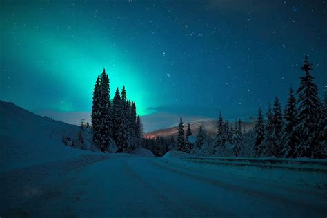 Aurora Borealis over Winter Road - Image Abyss