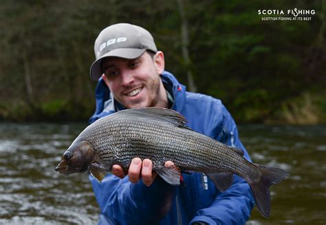 grayling fishing in scotland - Scotia Fishing