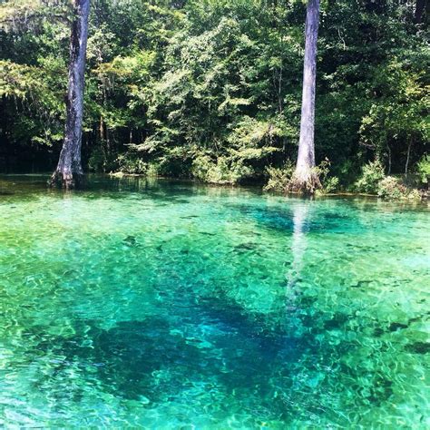 Ponce De Leon springs. Just one of the many breathtaking natural ...