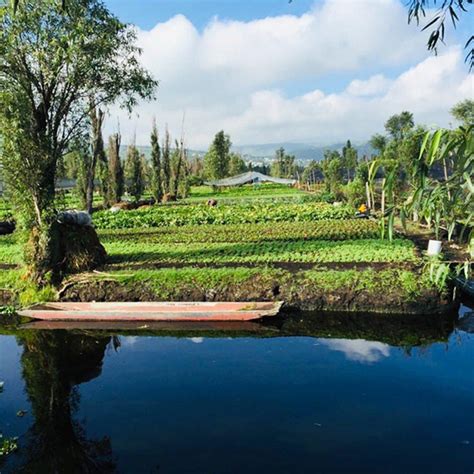 Chinampas: jardín milenario de la Ciudad de México - "La Jornada del Campo"