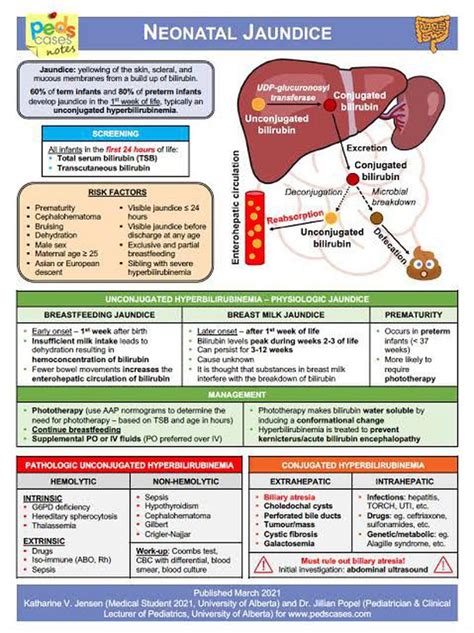 Neonatal jaundice - MEDizzy