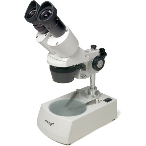 Levenhuk 3ST Stereo Microscope (110V, Gray) 35323 B&H Photo Video