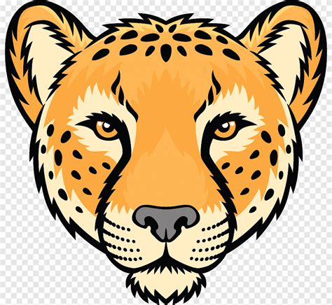 Cheetah Leopard Jaguar Tiger Drawing, cheetah, mammal, face png | PNGEgg