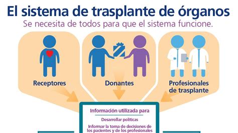 Transplantation System Infographic | organdonor.gov