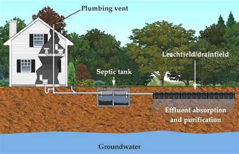 Simple Septic Maintenance: 7 Tips for Maintaining Your Septic System