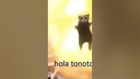 Hola tonotos - YouTube