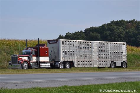 Kenworth W900A Cattle Hauler - a photo on Flickriver