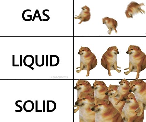 States of matter | /r/dogelore | Ironic Doge Memes | Know Your Meme