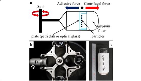 a Schematic diagram of the experimental configuration used for the ...