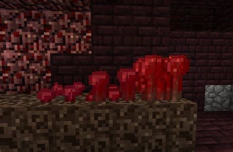 Different growth stages of Nether wart in Minecraft