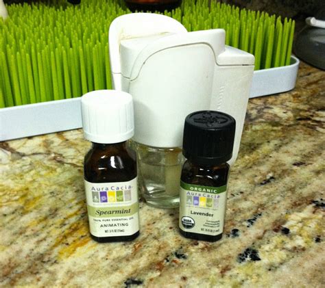 Musings and Ramblings of a Busy Mom: DIY Air Freshener