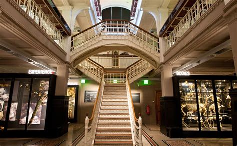 Manchester Museum | Attractions in Manchester | Creative Tourist