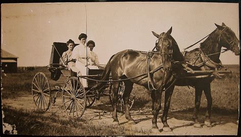 Horse and Buggy – One of the Common Transports before 1900 | Horse and ...