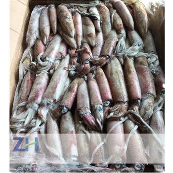 Frozen Loligo Squid with Variety Size(id:10558578). Buy Canada loligo ...