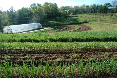 Starting A Farm | Beginning Farmers