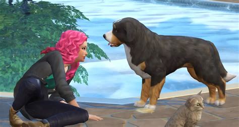 How To Get Dog On Sims 4