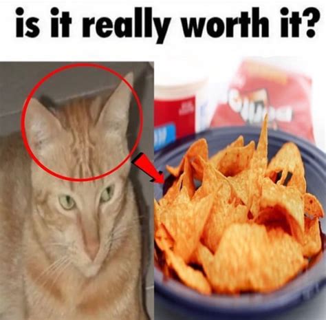 Is it really worth it? | Is It Really Worth It? | Know Your Meme