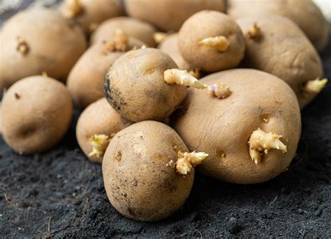 The Trick Your Grandma Used to Stop Potatoes from Sprouting