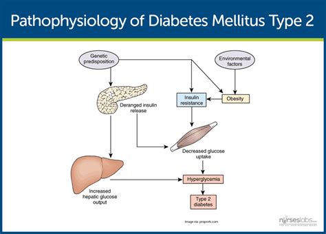 Diabetes Mellitus: Nursing Care Management