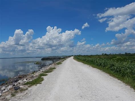 Lake Apopka Loop Trail, bike, hike, E-Z Google Map, 70+ Photos