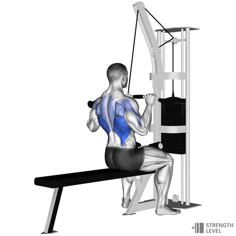 Lat Pulldown How To - Strength Level