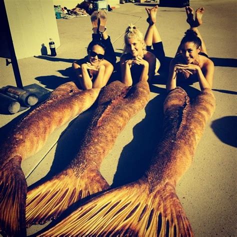 Mako Mermaids - The lovely ladies gemma, allie and amy with their tails ...