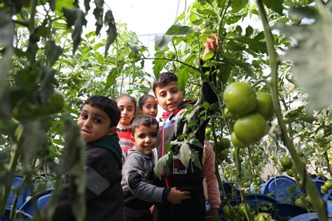 Palestine Children's Day - Anera