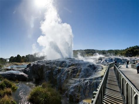 Waitomo and Rotorua Tour with Glowworm Cave and Te Puia Visit from ...