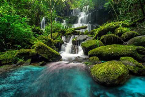 Waterfall In Forest Images – Browse 4,166,547 Stock Photos, Vectors ...