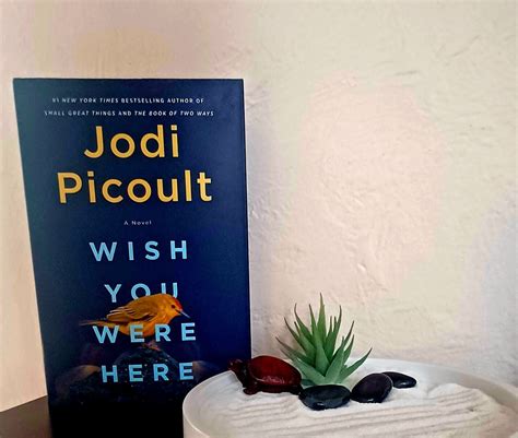 Wish You Were Here by Jodi Picoult Book Review - Laura's Books and Blogs