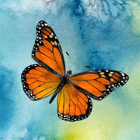 Monarch Butterfly. Watercolor depiction of a Monarch butterfly flying ...